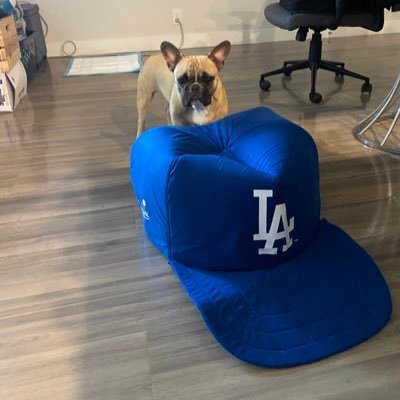 Sports fan, landlord, South Bay LA - Go Dodgers Go Lakers Go Kings Go UNLV Rebels