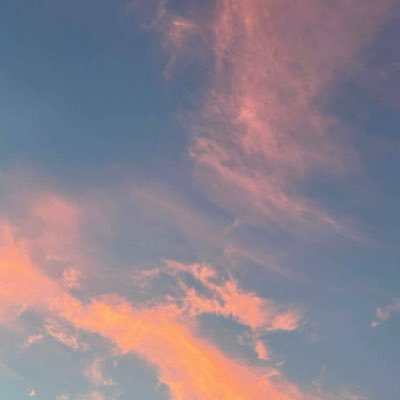 N4idpbp7gkZySa3's profile picture. 