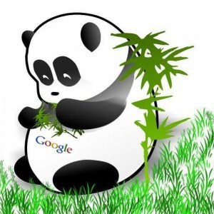 PostPandaSEO's profile picture. We separate the BULL from the SH*T when it comes to Post Panda SEO