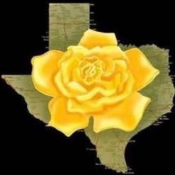 yellow12rose's profile picture. 