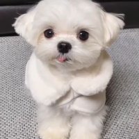 Suzan Oldaş (@oldassuzan) Twitter profile photo