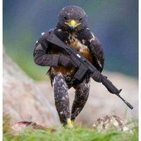 🆂🅰🆃🅿🅰🅼 🅹🅺🆃 (@jakartastar) 's Twitter Profile