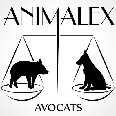 Cabinet d'avocats entièrement dédié à la pratique du droit animalier