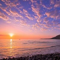 Alamatra (@alamatra_) 's Twitter Profile