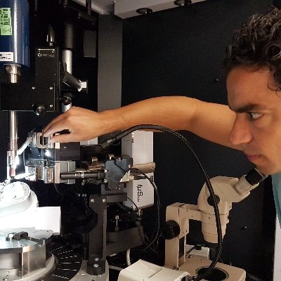 Structural biologist, expert in X-ray crystallography @NOVA School of Science and Technology