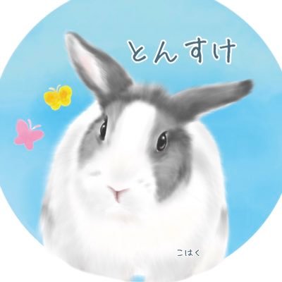 こんにちは。 動物や自然が大好きな食いしん坊おばちゃんです❣️うさぎの🐰とんすけ♀7歳と暮らしてます。 うさぎ🐰以外の投稿もします。宜しくお願いします🙏 アイコン＆ヘッダー琥珀ｻﾝ お色気垢＆謎の稼ぎ垢ブロックしますのでフォローしないでね。