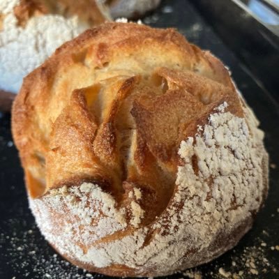 US trained ID doc living with husband, two awesome kids, three cats, one yeast water. baking and cooking are my passion.