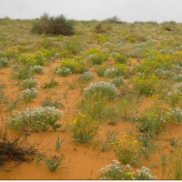 ابو خالد (@nahanaal) Twitter profile photo