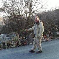 Neset Dogan (@nesetdogan) 's Twitter Profile