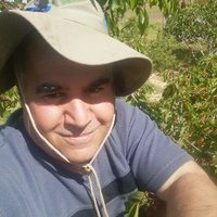 Abderrahmane Hannachi (@abderra86693662) 's Twitter Profile