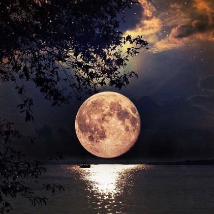 Khadija93730858's profile picture. étudiante