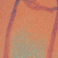 MIIII48331631's profile picture. 🎄🎄.