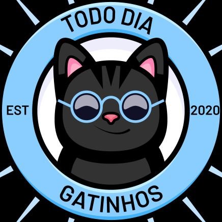 Conta reserva do perfil @TodoDiaGatinhos