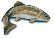 Page Valley Fly Fishing Service offers personalized, guided catch and release fly fishing trips for people of all experience levels.