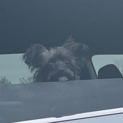 BigMike85106437's profile picture. nice looking