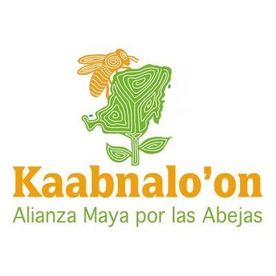 Alianza de organizaciones apicolas mayas de la Península de Yucatán. Cuidamos la vida de nuestros territorios a través de las abejas.