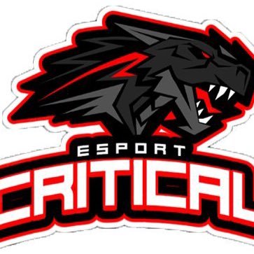 Critical Esports Dutch call of duty esports team competing in DIV 1 CCL and xenos legeau