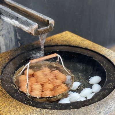 石川県 和倉温泉 お宿すず花 公式 Oyadosuzuka Twitter 石川県 和倉温泉 お宿すず花 公式 Oyadosuzuka Twitter