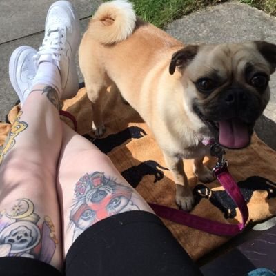 moncherhi's profile picture. Science grad, art kid, crybaby.