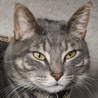 CryptoRAT69's profile picture. Cryptocurrency Trading | GPU Mining | NFT's & DeFi | Freestyle FPV Drone Pilot | PC Gaming | DCS Flight Sim Combat