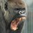 deadeyebravo's profile image
