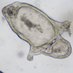 Zavros Lab (@zavrosl) Twitter profile photo Zavros Lab (@zavrosl) Twitter profile photo