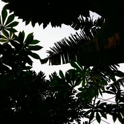 EikiChan1's profile picture. ngentoy