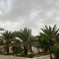 عبدالله القرني (@algarni11) 's Twitter Profile