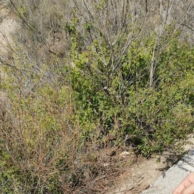 tie82311's profile picture. 中年男人