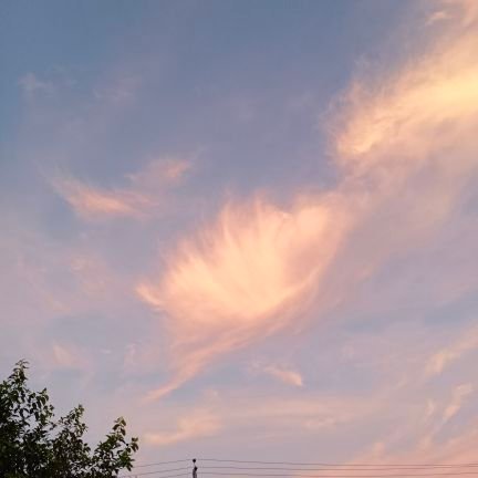 mdjunaidjaved22's profile picture. Working in a private company.