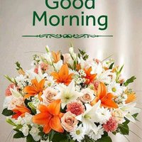 Srikanth (@srikant48805598) 's Twitter Profile