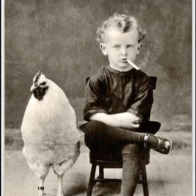 AmandaW56234043's profile picture. 🔬🐈🐴🐕🐓🐷💉🌈🌊⚖️ FUCKCANCER/ ✊🏾/☠️/ Infant Toddler Specialist/ 🛑DM/Go Biden/🚔Reform/Sheriff’s Granddaughter/Teacher’s Daughter/ Lawyer’s Daughter/