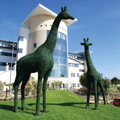 Official twitter account of Royal Aberdeen Children's Hospital and Grampian Children's Division.