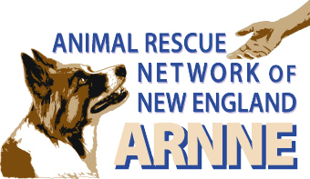 Animal Rescue Network of New England (ARNNE) is a dog rescue organization dedicated to finding new homes for loving, homeless animals.