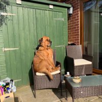 Fajjie (@fajjiee) 's Twitter Profile