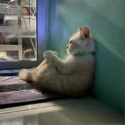 Eksookhipholki4's profile picture. 