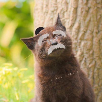 ○○っぽい猫が漢籍の名言をつぶやきます。イイネするならフォローしてにゃ。次回は多分 #孫子 ※現在はほぼ手動 ※広告有 ※注意・古典に興味を持ってもらうのが主眼です。⇒https://t.co/c617tQ5j4g 登録の古典全文は電子書籍をリンクよりどうぞ ※転載禁止 ※なりきりのためリプも猫語で失礼します。