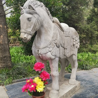 bolehorse1's profile picture. I can do what I want .
