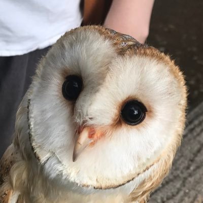 Jkojikojiさんのプロフィール画像