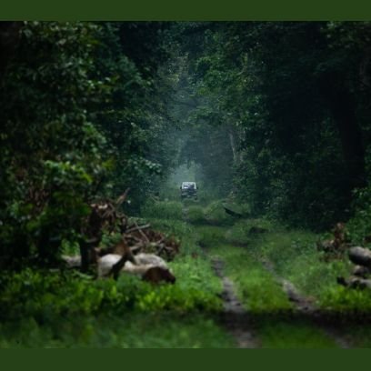 NarikOjeht's profile picture. 