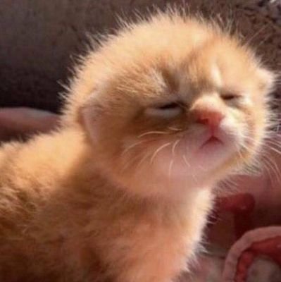 dm bloqueada senha: oiii quer ser minha best
