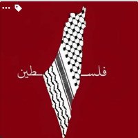 Mariam (@_mariamelshaer) 's Twitter Profile