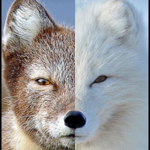 sonaldwashere's profile picture. Livin’ the dream...Learn more @scriptedculture #KOE YTGaming  @scriptedgamingculture….Contest/Prize winners reach out to Scriptedgamingculture@gmail.com