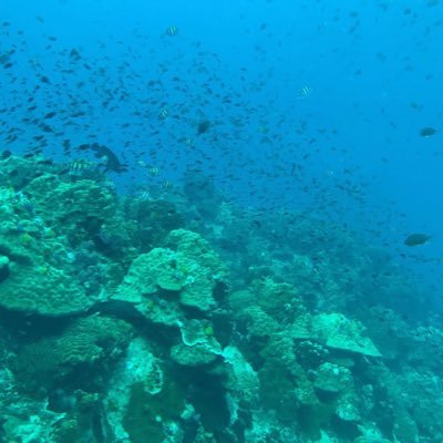 neverdivealone's profile picture. Me