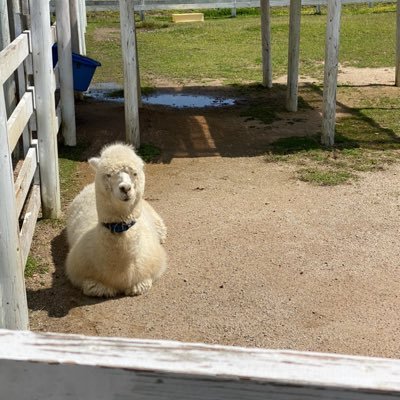 キャンプ垢 🏕全国各地のキャンプ場にお邪魔します (梅が島キャンプ場 四尾連湖キャンプ場 滝沢園キャンプ場 ささゆりキャンプ場)