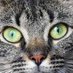 Polly Tickal (@bubblestoburst) Twitter profile photo Polly Tickal (@bubblestoburst) Twitter profile photo