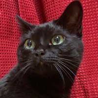 𝐌𝐀𝐑𝐈𝐀 (@maria_kzy) Twitter profile photo