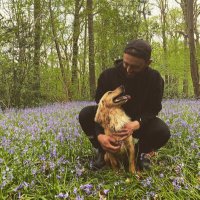 Olly(@OlllyBT) 's Twitter Profile Photo