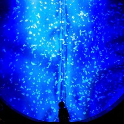 sibainu565656's profile picture. 20↑(27)社会人/夢閲覧垢/夢書きさんに生きる糧をもらっている夢女子。いつも素敵な作品をありがとうございます。