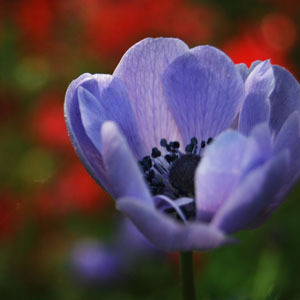 hanqinw's profile picture. 